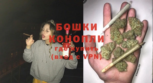 стаф Новодвинск