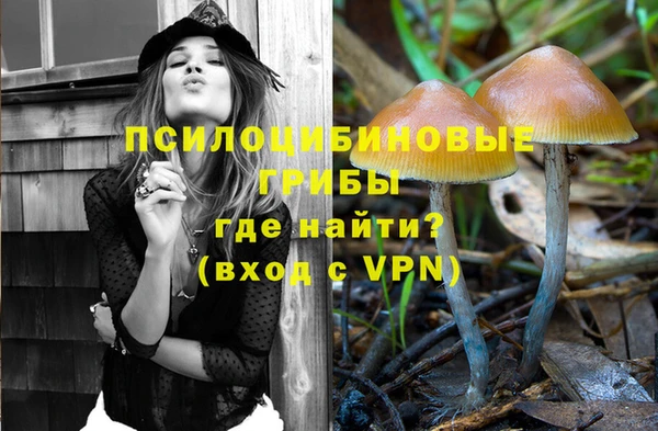 apvp Новокубанск